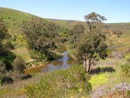 The Rocks Reserve